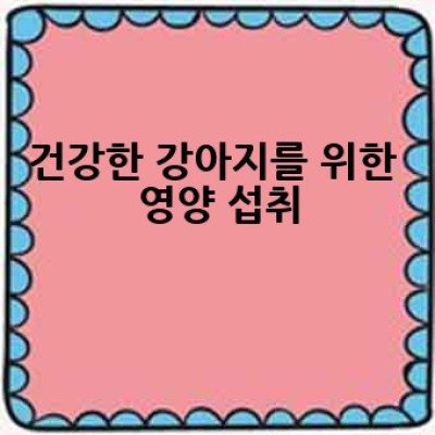 우리 강아지 건강하게 챙기는 방법은 무엇일까요?