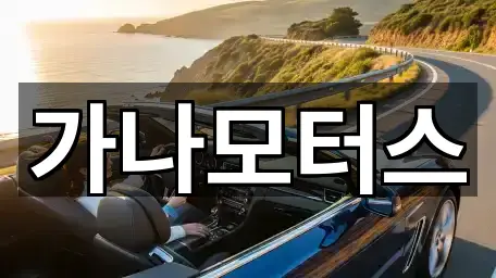 핵심만 보기: 공주시 정안면 중고차 2곳