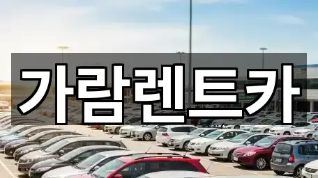 가람렌트카