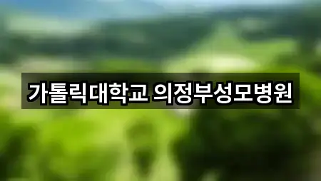 가톨릭대학교 의정부성모병원