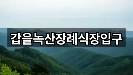 내 주변 강서구 화전동 예식장 1곳 찾기