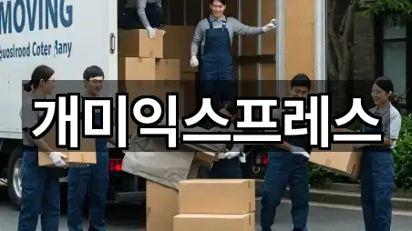 개미익스프레스