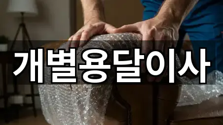 강원특별자치도 속초시 청호동 용달이사 가까운 순 5곳