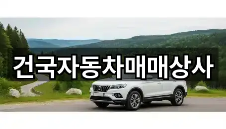군산 금암동 중고차 신규 등록 4곳