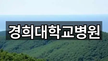 동대문구 회기동 산부인과 길 안내 5곳
