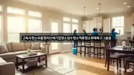 고독사청소유품정리쓰레기집청소침수청소역류청소화재복구그을음