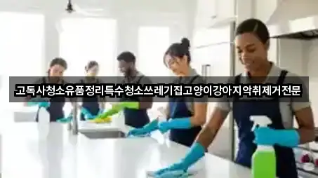 고독사청소유품정리특수청소쓰레기집고양이강아지악취제거전문
