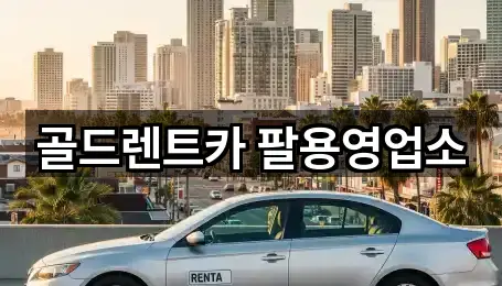 경남 덕정동 렌트카 5곳 주소 모음