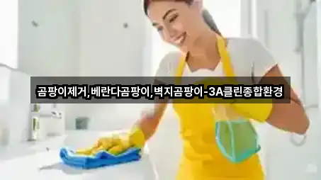 강릉시 담산동 청소 주소/전화 5건