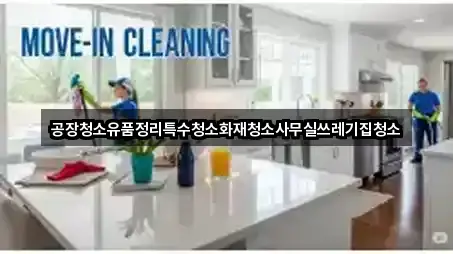 동구 사복동 청소 즉시 찾기 5곳