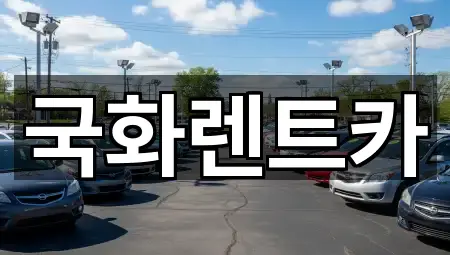 국화렌트카