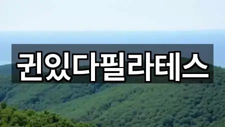 총정리 | 경기도 고양시 일산동구 설문동 필라테스 2곳