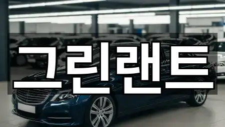 서완산동2가 렌트카 3곳 | 종합 안내