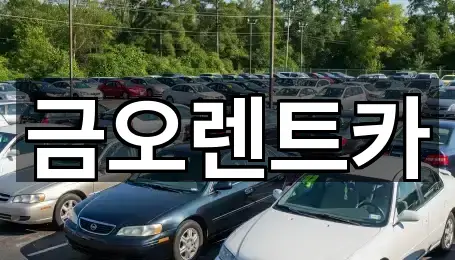 핵심만 보기: 대구 칠성동2가 렌트카 5곳