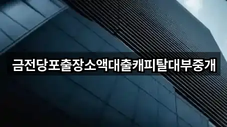 금전당포출장소액대출캐피탈대부중개