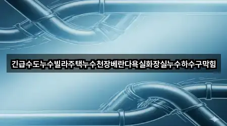 긴급수도누수빌라주택누수천장베란다욕실화장실누수하수구막힘