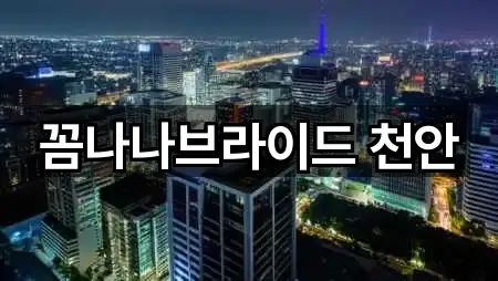 꼼나나브라이드 천안