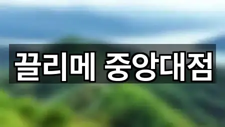 빠르게 연결: 서울 상도1동 에스테틱 5곳