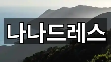 제주특별자치도 제주시 해안동 웨딩메이크업 5곳 위치 모음