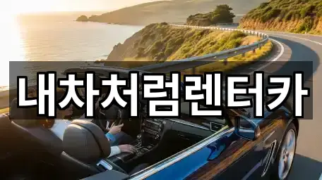 대구광역시 수성구 매호동 렌트카 영업정보 5곳