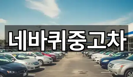 강원 학성동 중고차 5곳 경로 안내