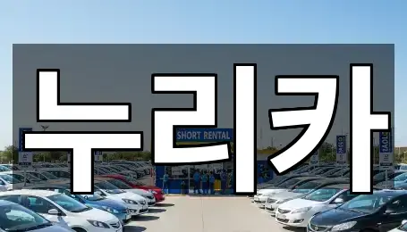 서신면 렌트카 매장/업체 4곳