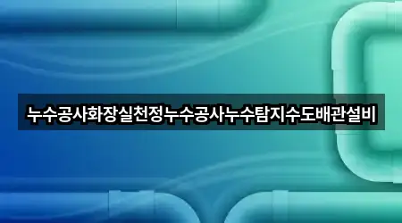 누수공사화장실천정누수공사누수탐지수도배관설비