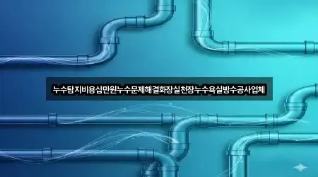누수탐지비용십만원누수문제해결화장실천장누수욕실방수공사업체