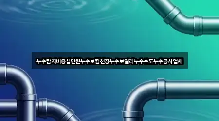 누수탐지비용십만원누수보험천장누수보일러누수수도누수공사업체