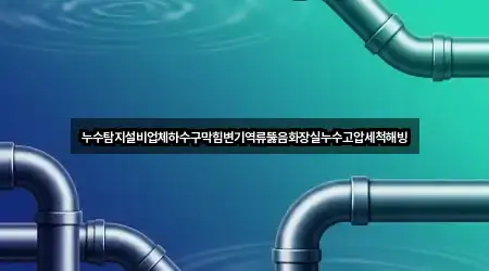 누수탐지설비업체하수구막힘변기역류뚫음화장실누수고압세척해빙