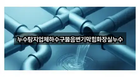 누수탐지업체하수구뚫음변기막힘화장실누수