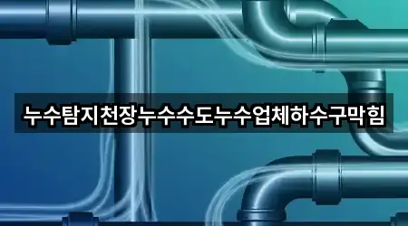 누수탐지천장누수수도누수업체하수구막힘