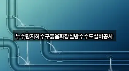 누수탐지하수구뚫음화장실방수수도설비공사