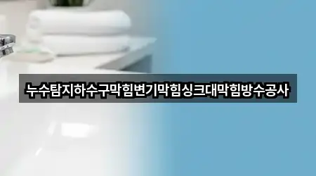 누수탐지하수구막힘변기막힘싱크대막힘방수공사