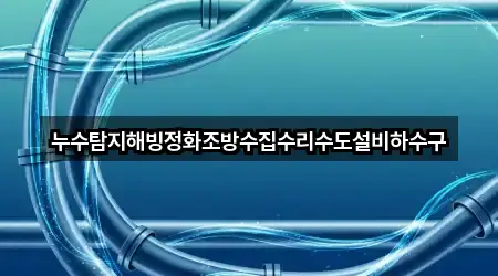 누수탐지해빙정화조방수집수리수도설비하수구