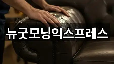 뉴굿모닝익스프레스