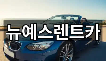 뉴예스렌트카