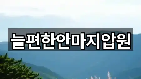 늘편한안마지압원