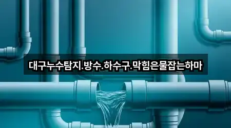대구누수탐지.방수.하수구.막힘은물잡는하마