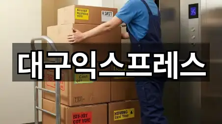 대구익스프레스