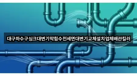 대구하수구싱크대변기막힘수전세면대변기교체설치업체배관킬러