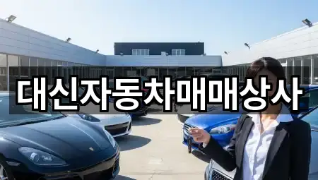 경기도 포천 선단동 중고차 5곳 위치 점검