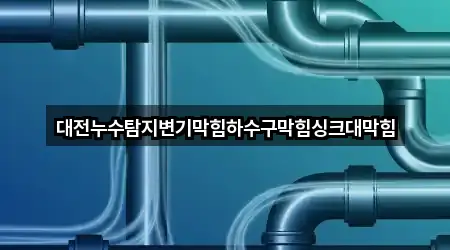 대전누수탐지변기막힘하수구막힘싱크대막힘