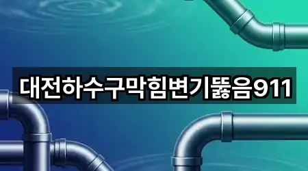 대전하수구막힘변기뚫음911
