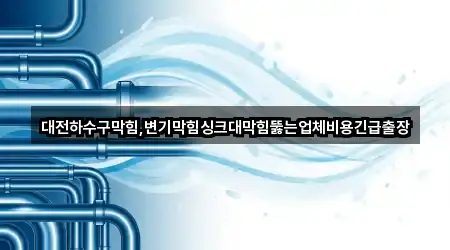 대전하수구막힘,변기막힘싱크대막힘뚫는업체비용긴급출장