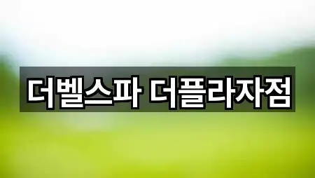 더벨스파 더플라자점