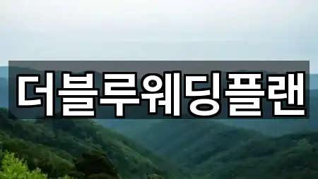 더블루웨딩플랜