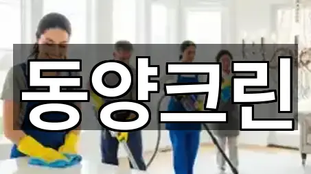 즉시 지도: 경상북도 안동시 풍산읍 청소업체 5곳