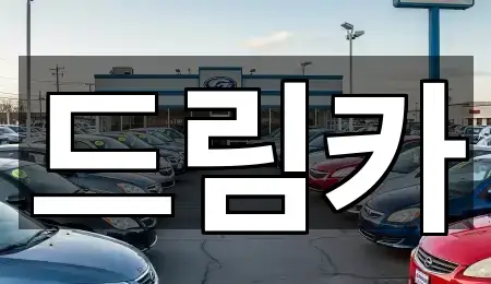 인기 경기 광주시 역동 중고차 5곳 모아보기