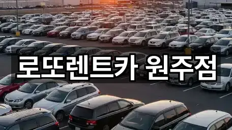 강원 무실동렌트카 상세 정보 5건